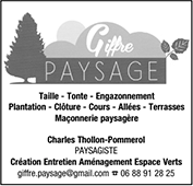 Giffre Paysage