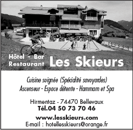 Les Skieurs